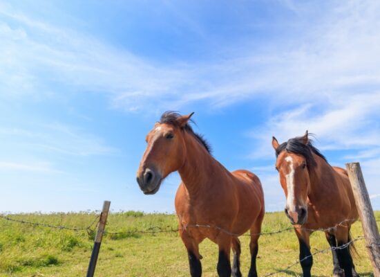 夏休みの思い出　Part2